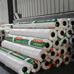 Màng chống thấm Polyolefin nhiệt dẻo (TPO)