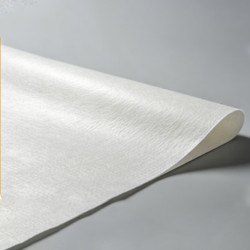 Màng chống thấm polyethylene-polyester (PPE)